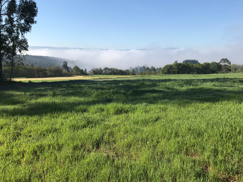 the-clouds-in-the-valley