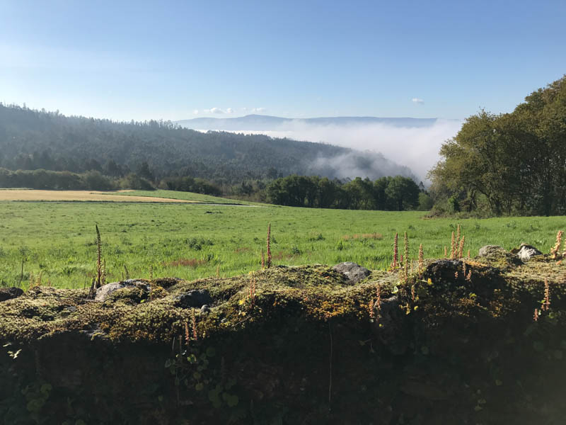 more-clouds-in-the-valley